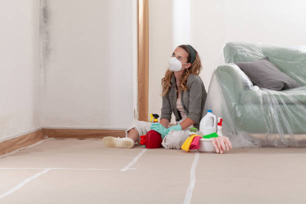 Reliable Mold Removal contractor in Highlands, TX by WQB Mold Removal